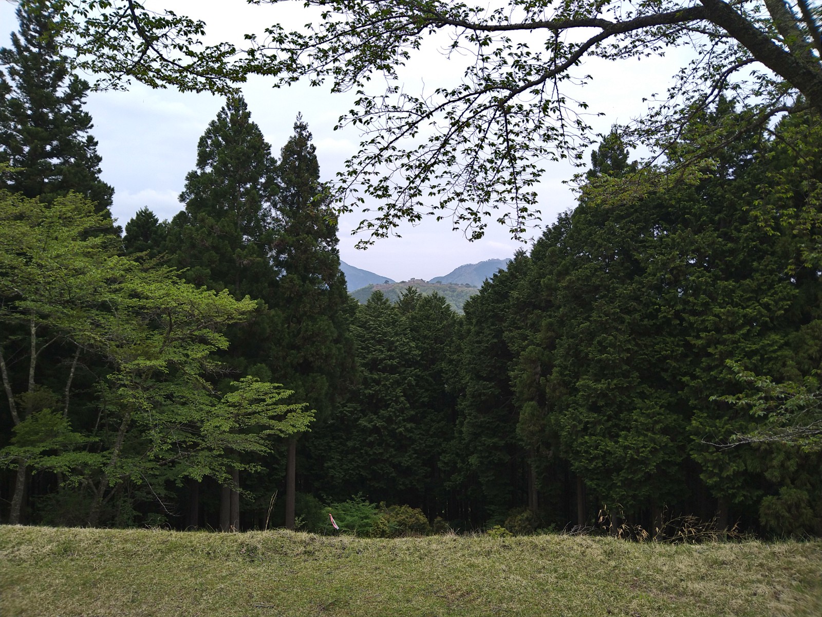 サムネイル画像