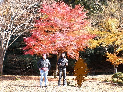 20101129_13.JPG