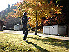 20101129_16_thumb.jpg