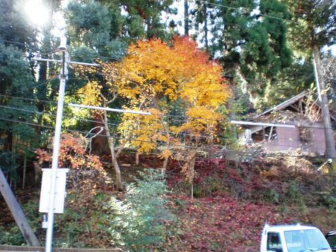 20101129_18.JPG