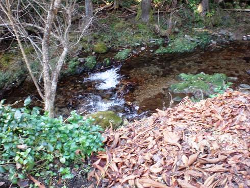 20101129_26.JPG