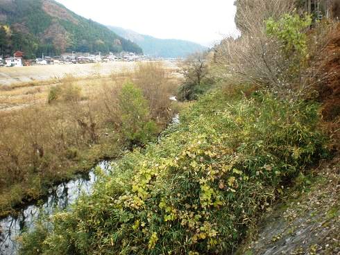 20101129_32.JPG